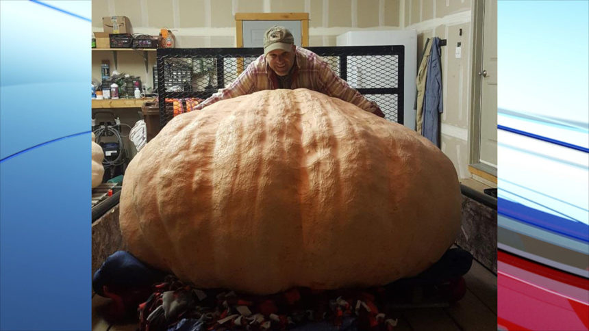 Andy Corbin biggest pumpkin_1571438208230.jpg_39529274_ver1.0_1280_720