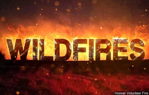 Wildfire