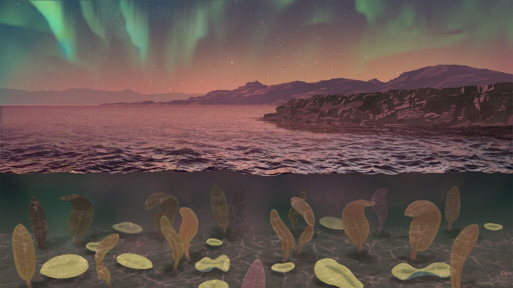 An artist's impression depicts what Earth may have looked like during the Ediacaran Period, when complex life began to blossom.	