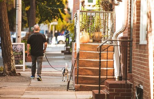 Cozy season index: Best cities for walkable fall living