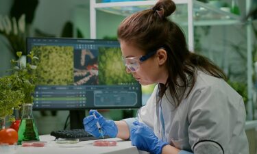 What will we eat for protein in 2030? Inside the next protein revolution
