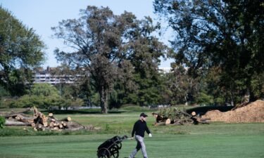 A golfer walks in front of cut down trees at East Potomac Golf Links near Hains Point in Washington
